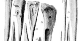 Conjunto de punzones y agujas procedentes de El Oficio (Siret y Siret 1890: lám. 62)