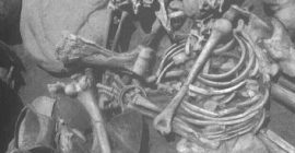 Detalle del esqueleto femenino de la tumba 21 del Cerro de la Encina mostrando una copa cerca de las rodillas y un brazalete de cobre alrededor de la muñeca izquierda en la parte frontal del tórax y un pendiente en la zona del parietal derecho (Aranda et al. 2008: lám. XI).