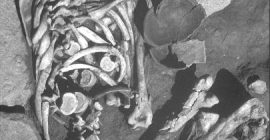 Detalle del esqueleto masculino de la tumba 21 del Cerro de la Encina mostrando un cuenco en la parte frontal del tórax y un arete de plata en la zona del temporal derecho (Aranda et al. 2008: lám. X).