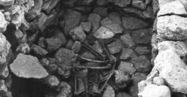 Tumba 14 en cámara hallada en el Cerro de la Virgen, en la que se recuperó el esqueleto de un individuo de 50-60 años, probablemente femenino, al que acompañaban objetos cerámicos y metálicos, entre ellos dos punzones y un puñal (Schüle 1980: lám. 117a). Las cámaras constituyen un tipo de contenedor funerario minoritario en el mundo argárico.