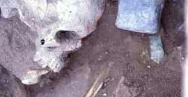 Detalle de la tumba 3 de Los Cipreses, donde se muestra el esqueleto de un individuo adulto junto a parte del ajuar metálico y a dos yunques/martillos utilizados en la forja del metal (Museo Arqueológico de Lorca).